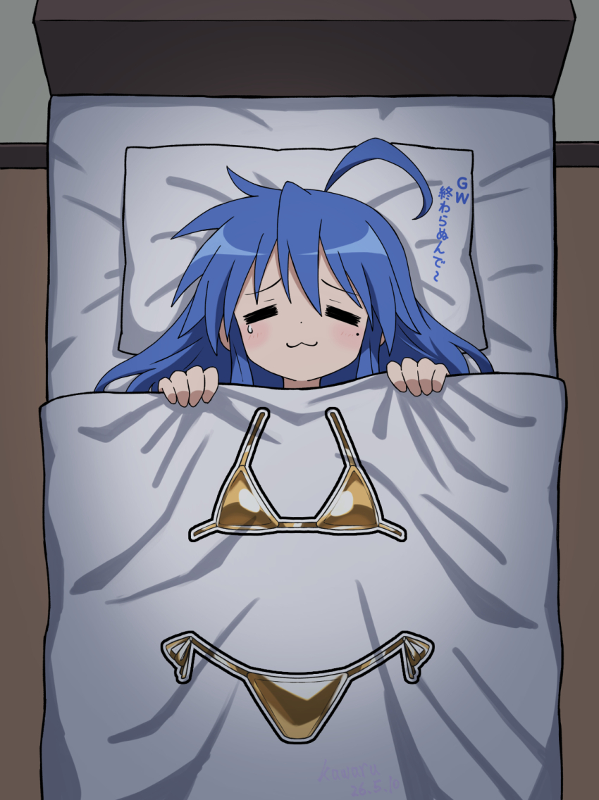 Booru post from gelbooru.com
