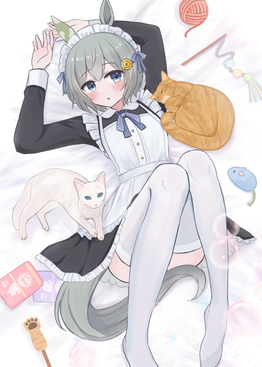 Booru post from gelbooru.com